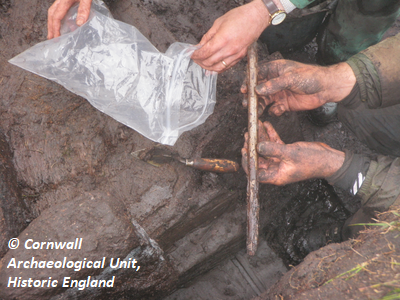 Small find 2: hazel/birch/alder stake. Copyright: Cornwall Archaeological Unit, Historic England